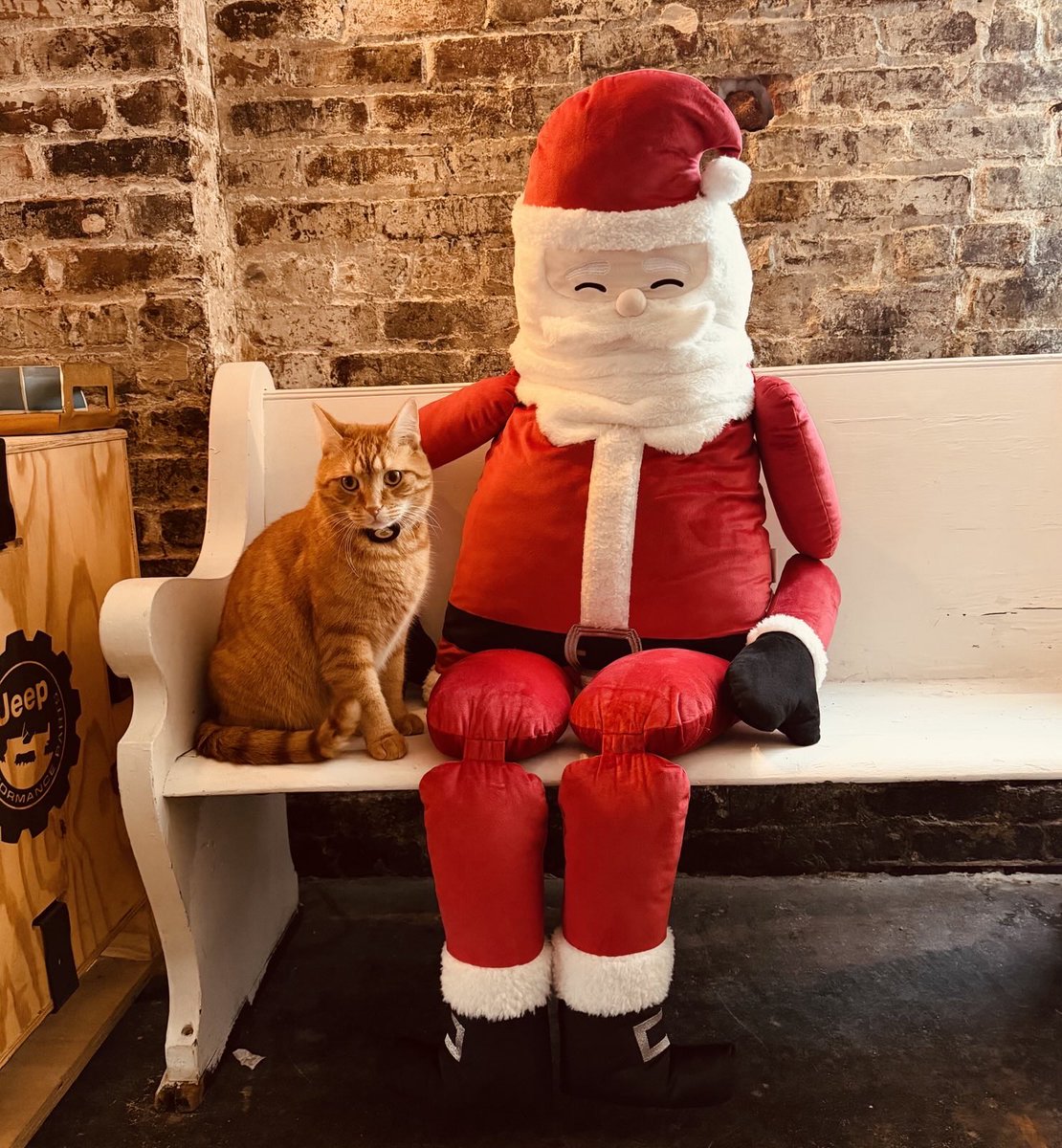 Image for the Tweet beginning: Tater wishes yinz and youse