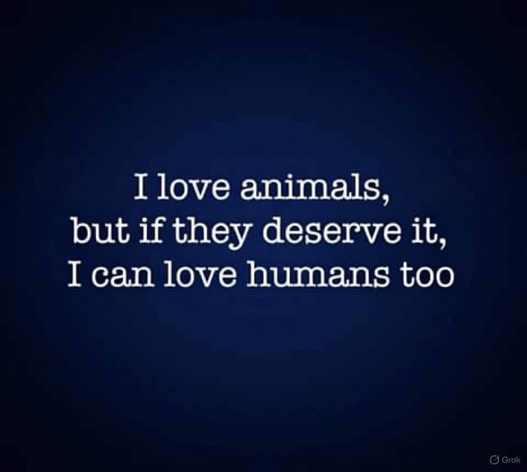 AlpayLong's tweet image. 