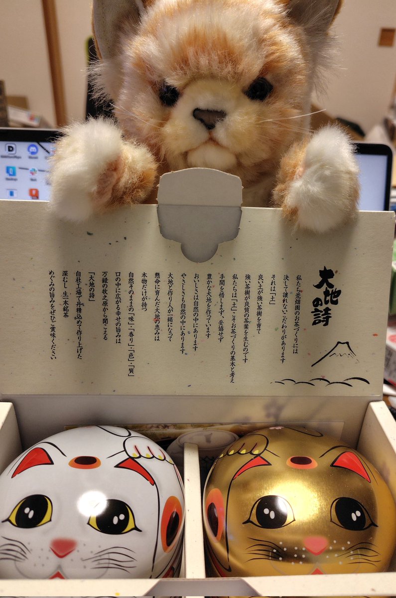 #ヒーローズリーグ
ネコ賞の副賞、頂きました。
可愛い招き猫缶のお茶、ありがとうございます。