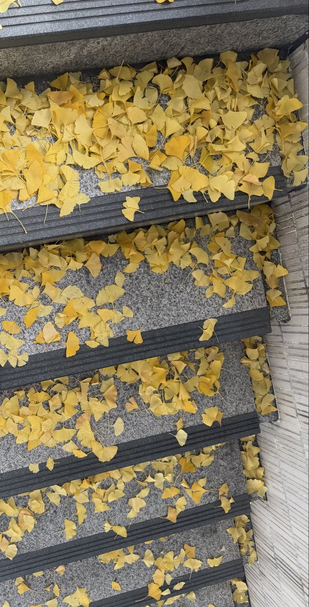 毎年この時期は
教会に足を運ぶのが
私の小さな習慣だった

今年はそれが叶わないけれど
祈りやあたたかさは
こんな静かな箱の中の日常にも
あるのかもしれない

限られた人とだけ
言葉を交わせる今日も
私にとってはちゃんとクリスマス

緑と白の夜の底に
やさしい重さが残っている