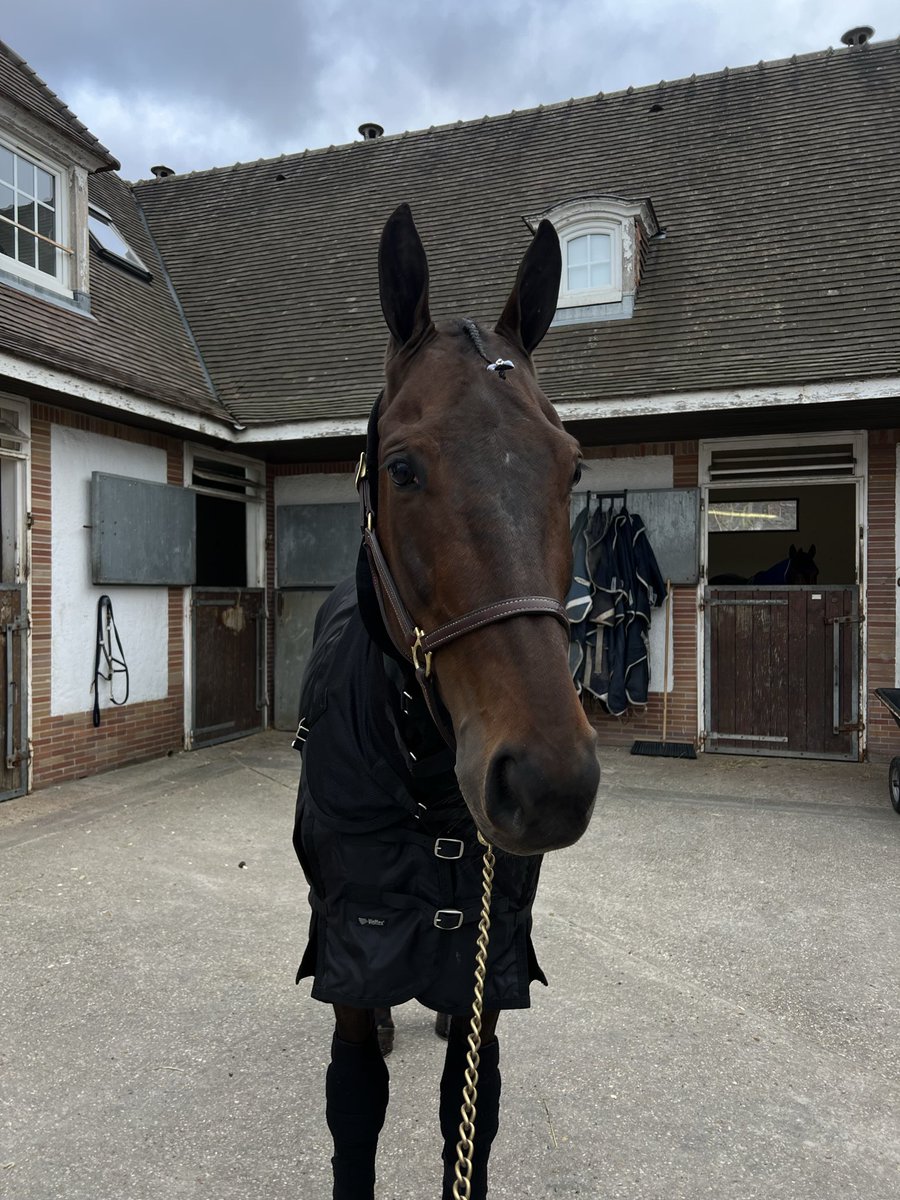 Vincennes 24 december vinnare lopp 6, Chitchat!

Segertid: 13,6 2700m
Ägare: Stall SoFo
Skötare: Moa Bylund