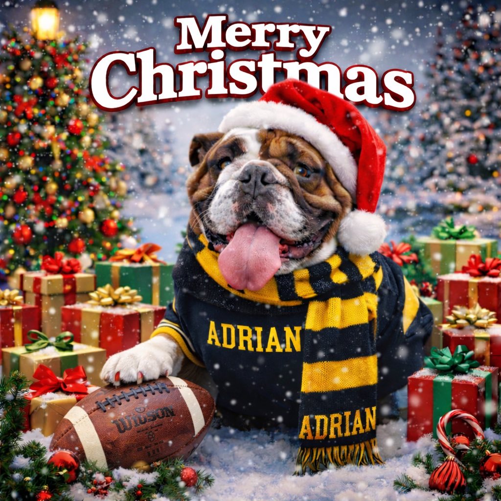 Merry Christmas Dawgs 🐾 #GDTBAB