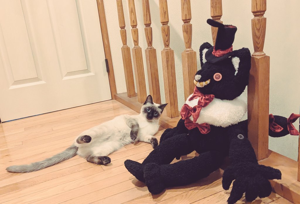 Panda (@Panda23577667) / Posts / X