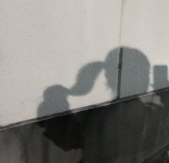 AlissonFCosta's tweet image. おはよう☀️ 気分最高！。髪乾かして寝よ。ご褒美スイーツにしよ🍰 🦇