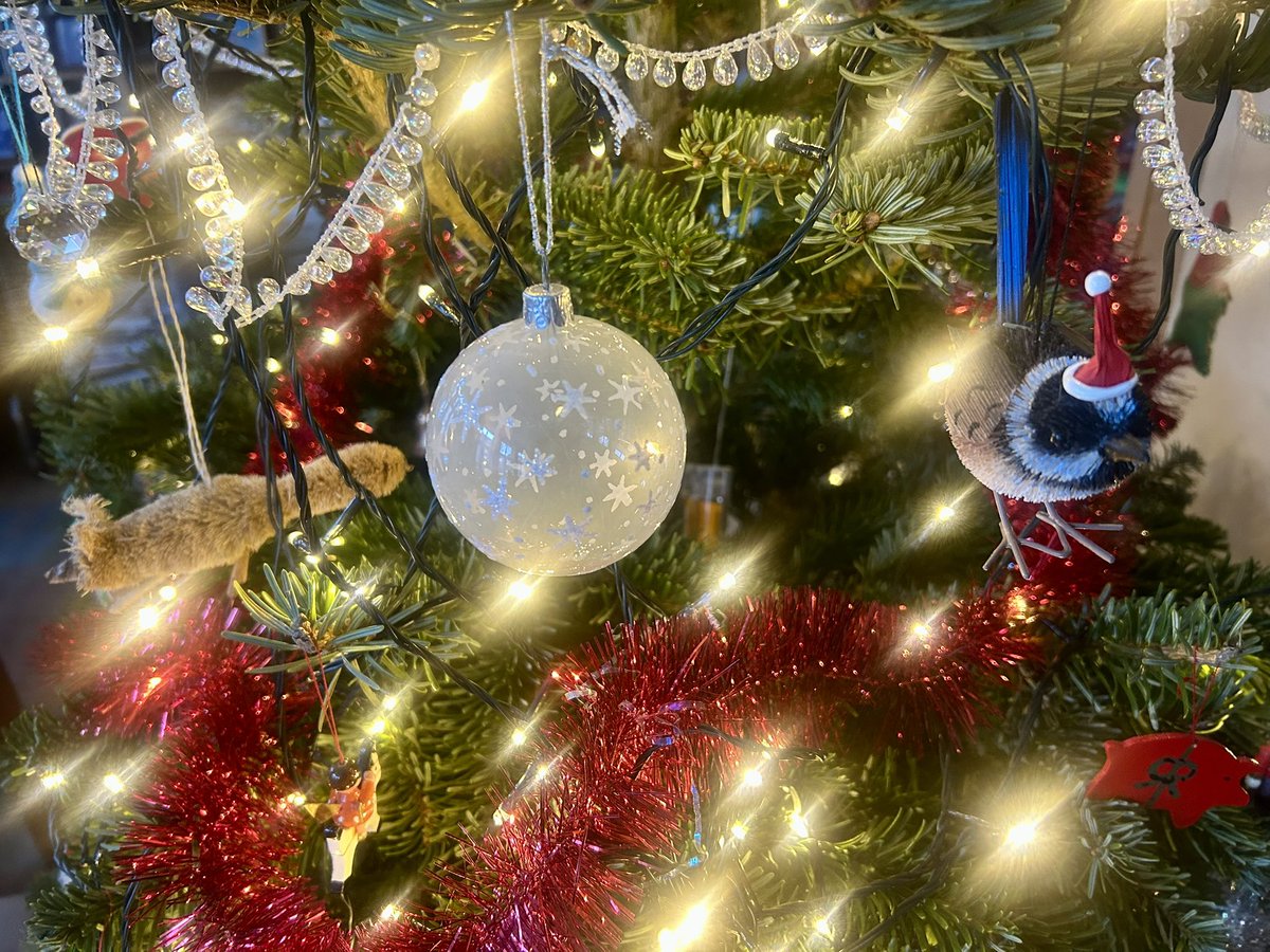 Mooie Kerst iedereen! Merry Christmas everyone 🎄✨!