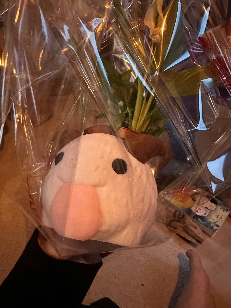 Léo "Tipsa" Lecherbonnier tweet media