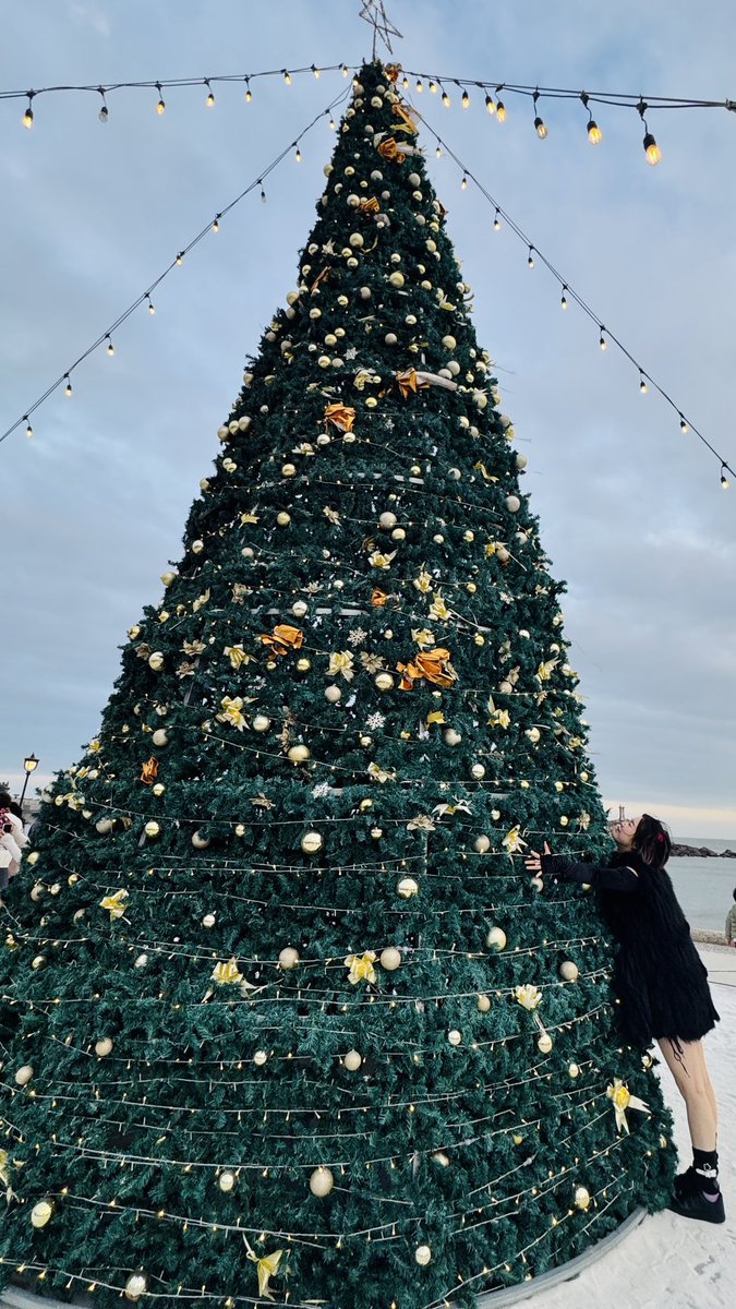 Merry Christmas 🎄