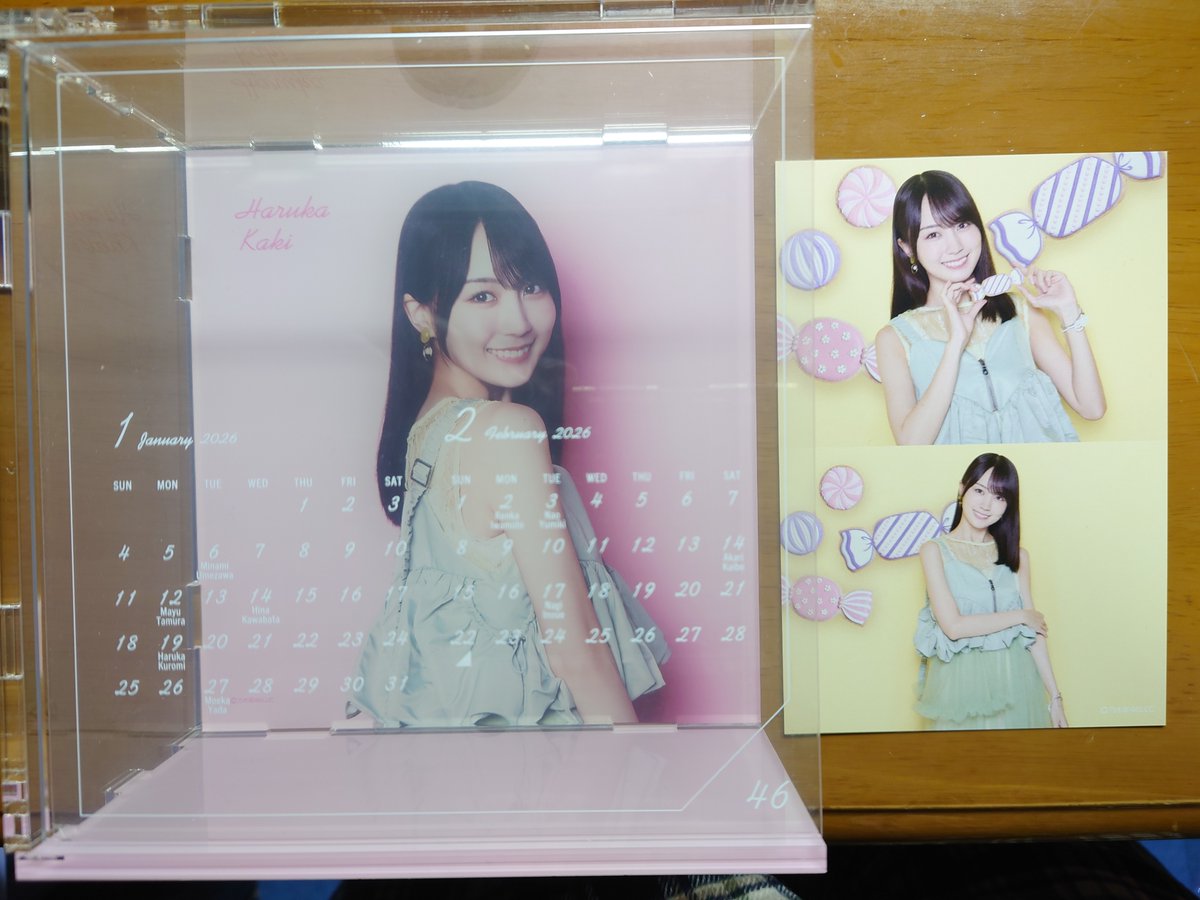 乃木坂46 2026年壁掛けカレンダーB 卓上カレンダー賀喜遥香他 乃木坂46