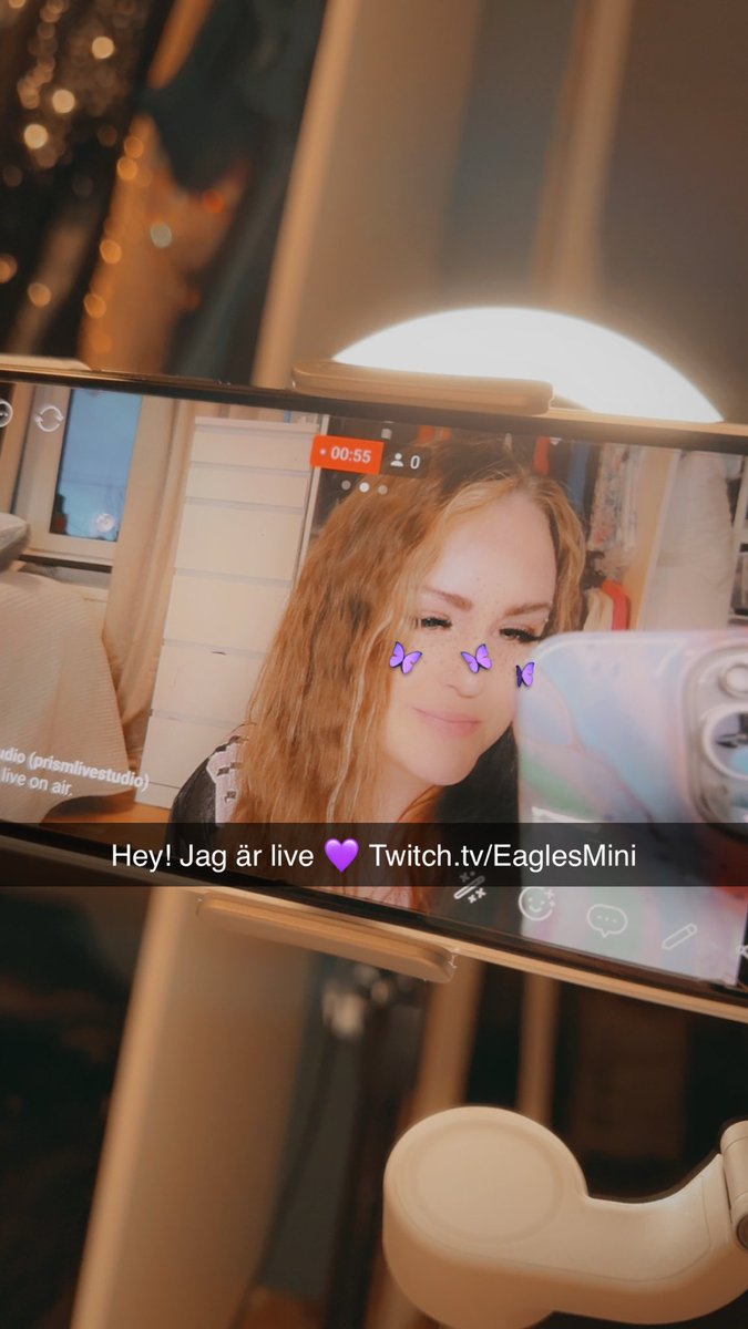 EaglesMini tweet media