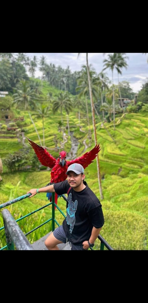 ___dllmp's tweet photo. Buat yg maen bumble hati hati sama orang ini dia scammer, ngakunya nama dia zilvandi. Ngakunya kerja di PT medco energi internasional dan di bumble ngakunya kuliah di universitas krisnadwipayana

Oh iya ini no wa nya +62 896-8245-9430 kalo kalian mau silaturahmi silakan https://t.co/dGQ7wwJX7X