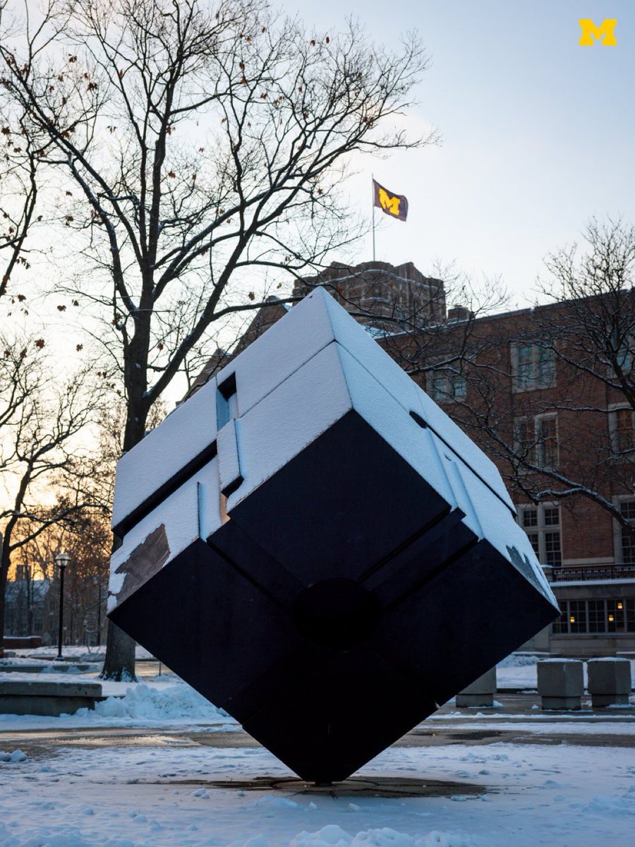 UofM em Português tweet media