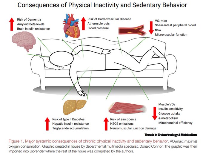 louisanicola_'s tweet image. The Silent Killer You’re Ignoring: Physical Inactivity

Physical inactivity isn’t just about weight gain. It’s one of the biggest hidden drivers of chronic disease, backed by decades of research.

Here’s what the science says👇

1. Physical inactivity is the 4th leading global…