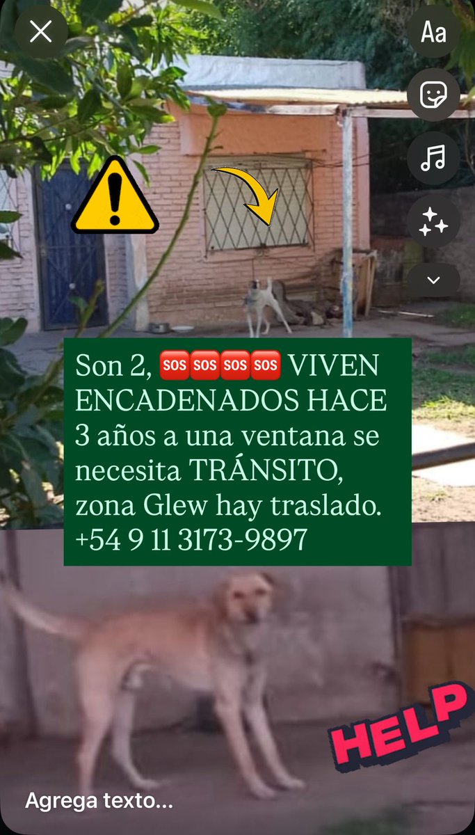 patripeyrou's tweet image. Rt
Denuncien vecinos!!!
Que les caiga la multa!!