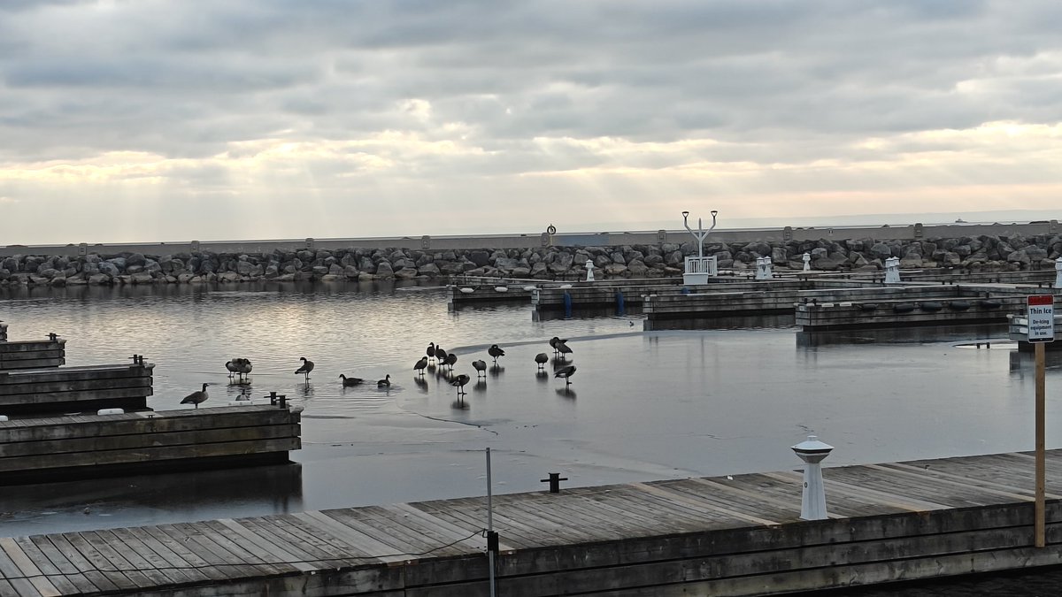 偏指 (@roachnyanya) on Twitter photo 