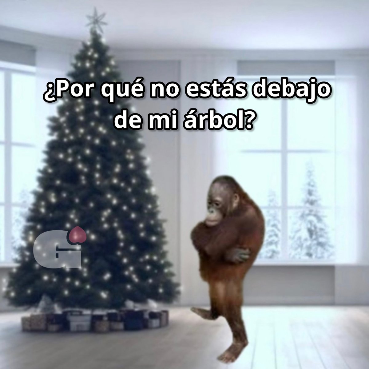 No te vi.
