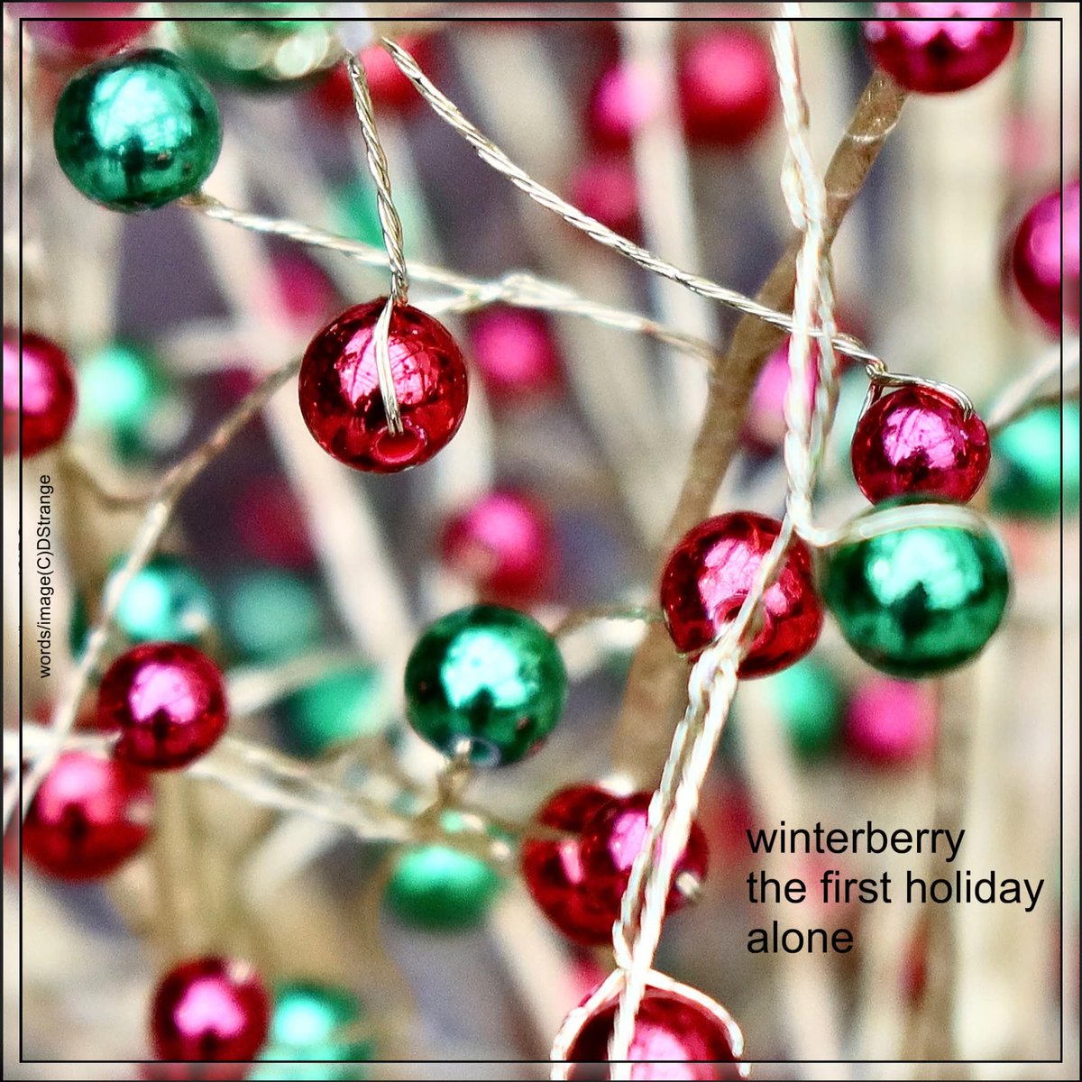 InkSweatTears's tweet image. .@Debbie_Strange's 'the first holiday' meditates on stillness and solitude during the festive season.

Read it here: inksweatandtears.co.uk/debbie-strange…

#12DaysOf #ChristmasPoem #WordAndImage