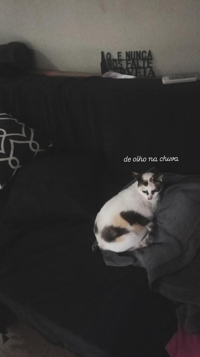 Déia (@podeserdeia) on Twitter photo 