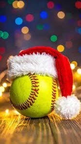 ADM Tiger Softball tweet media