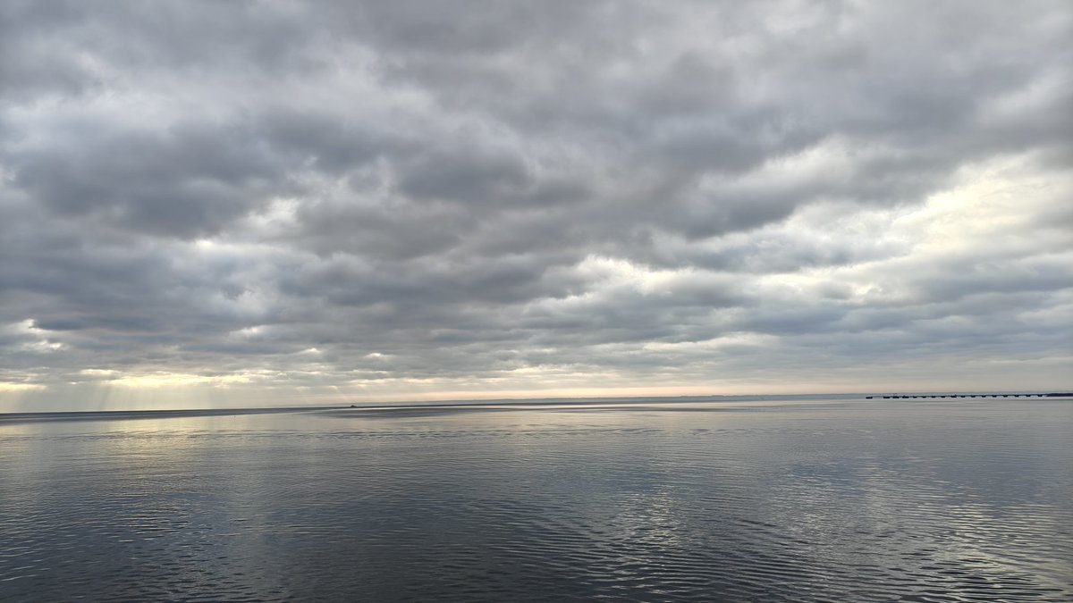 偏指 (@roachnyanya) on Twitter photo 