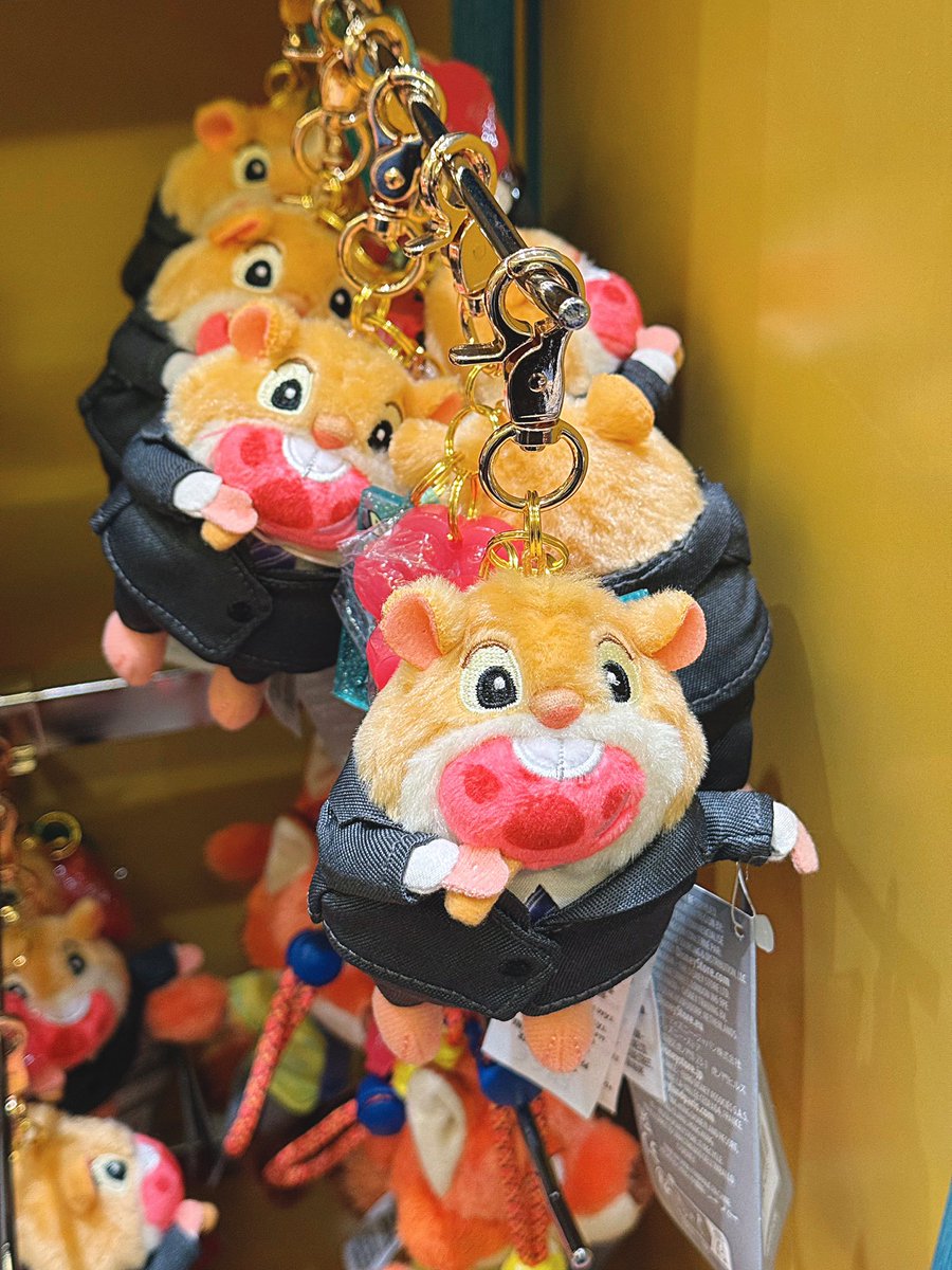 𝗭𝘇.. tweet media