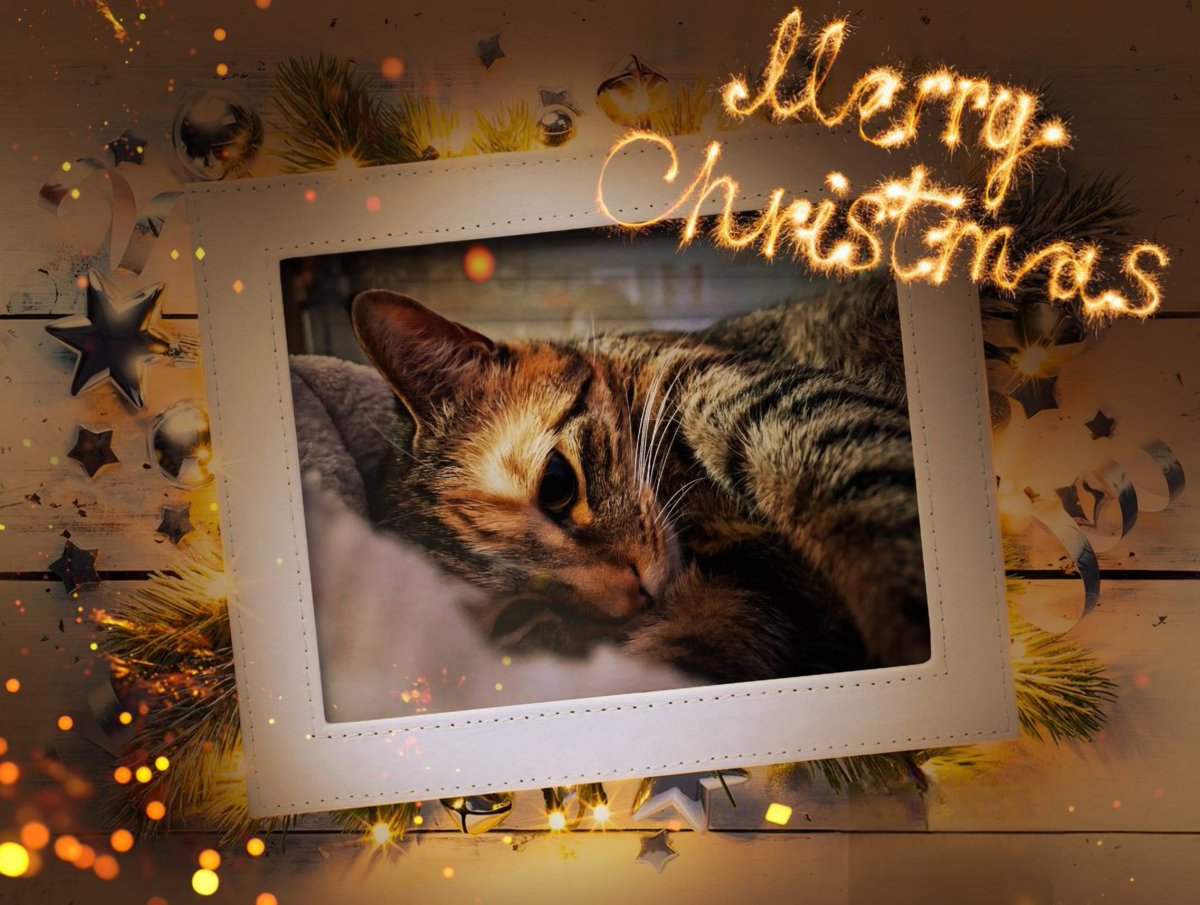 Schöne Feiertage 🎄🎅🤶