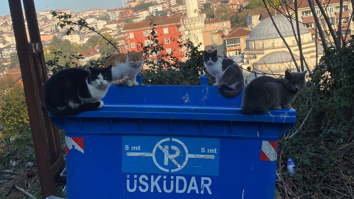 vafdudun's tweet photo. ateş su toprak TAHTA https://t.co/zna6a6KQ4R