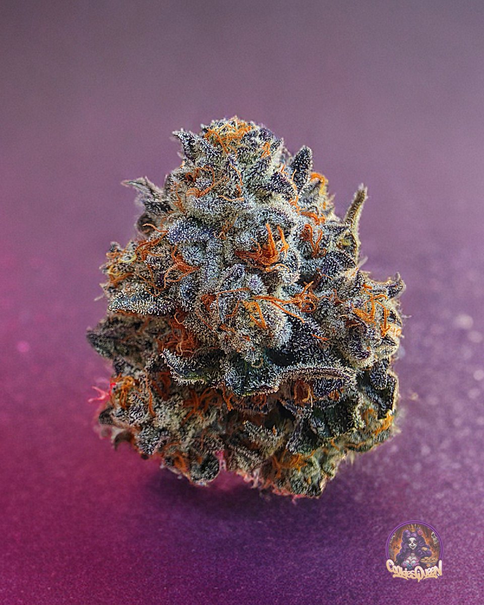 Merry Christmas everyone. Strain is Blue Nerds. I hope everyone has an awesome Christmas!! #CannabisCommunity #cannabisculture #Mmemberville #StonerFam