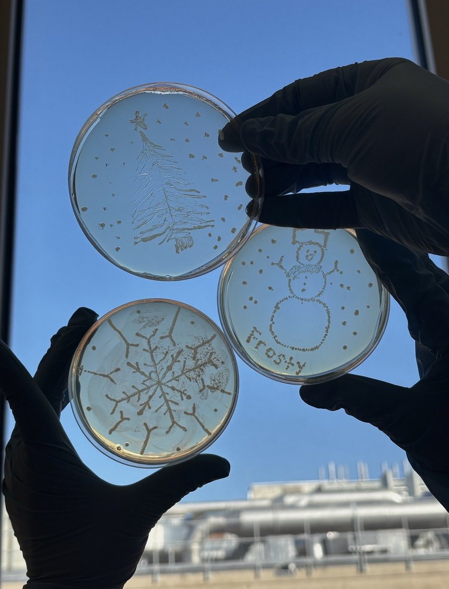 Wen Zhu Lab tweet media