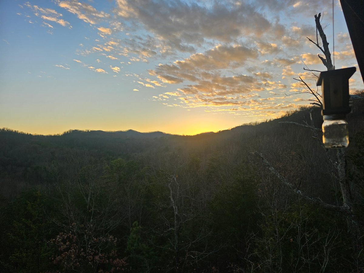 Bigwill82 tweet media