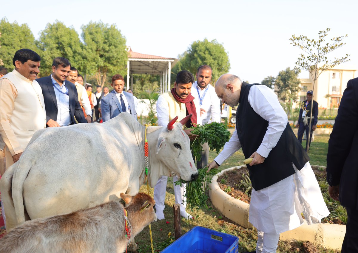 AmitShah's tweet photo. गौ माता भारतीय संस्कृति में पूज्य होने के साथ-साथ ग्रामीण जनों की समृद्धि व शिशुओं के पोषण का माध्यम भी हैं। मुझे खुशी है कि मध्य प्रदेश सरकार गोवंश संरक्षण व संवर्धन की दिशा में निरंतर सराहनीय कार्य कर रही है।

आज रीवा में 'बसामन मामा गोवंश वनविहार' का भ्रमण कर गोशाला, गो-आधारित प्राकृतिक कृषि व संबंधित सुविधाओं का अवलोकन किया। प्राकृतिक खेती के माध्यम से छोटे और सीमांत किसानों को समृद्ध बनाने का यह एक सफल प्रयोग है।