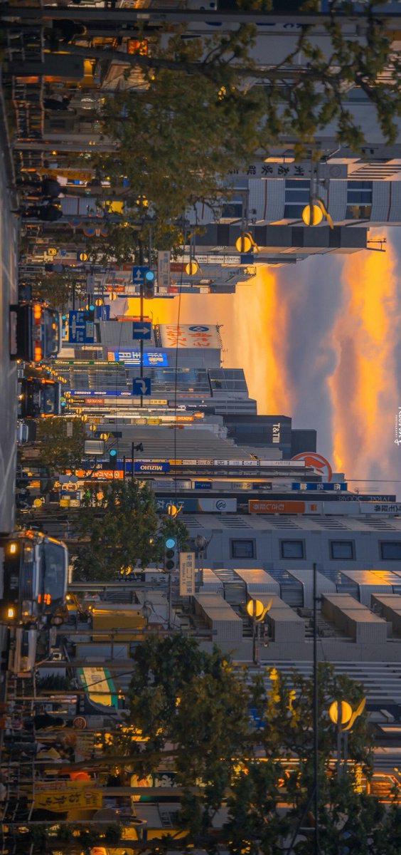 arkodes's tweet image. ただいま〜 リフレッシュしたいけどコンビニ行ってくる！ 😴 🤯