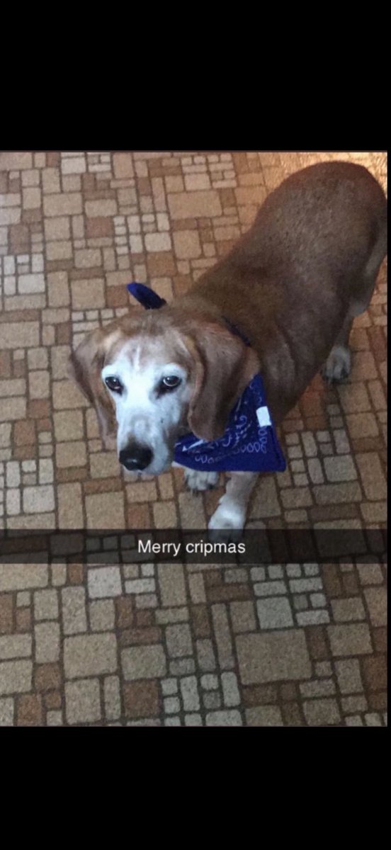 Keith “The #Beast” Drew Peanuts tweet media