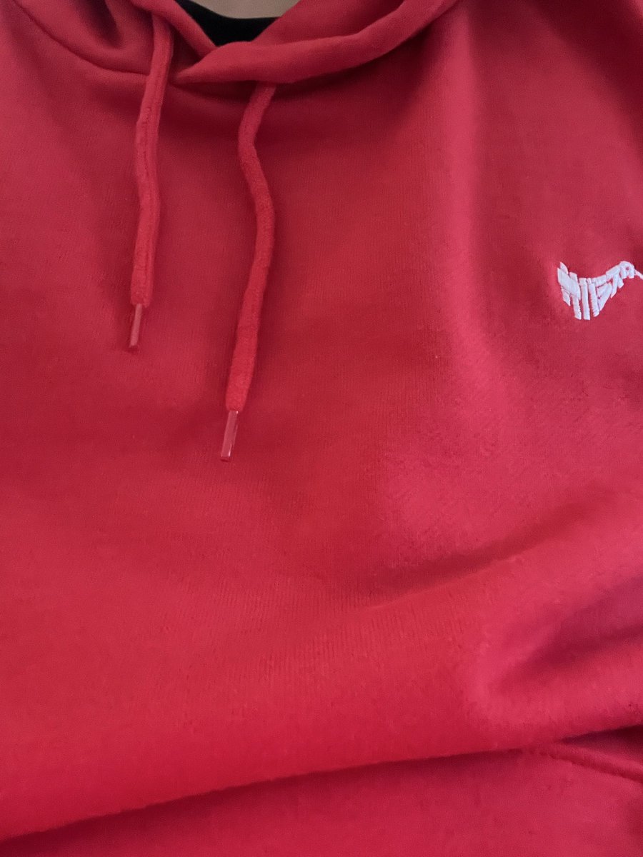 クリスマスに届くサバシスターパーカー 結構粋だなあ #サバシスター