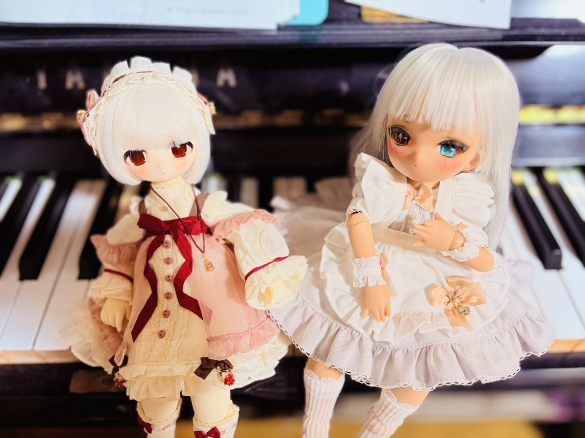 Raika_NET's tweet photo. 2人目
Guru うさぎメイドver.届きました！
メリアンちゃんと並べて撮ってみました https://t.co/0SgkmZuD7g