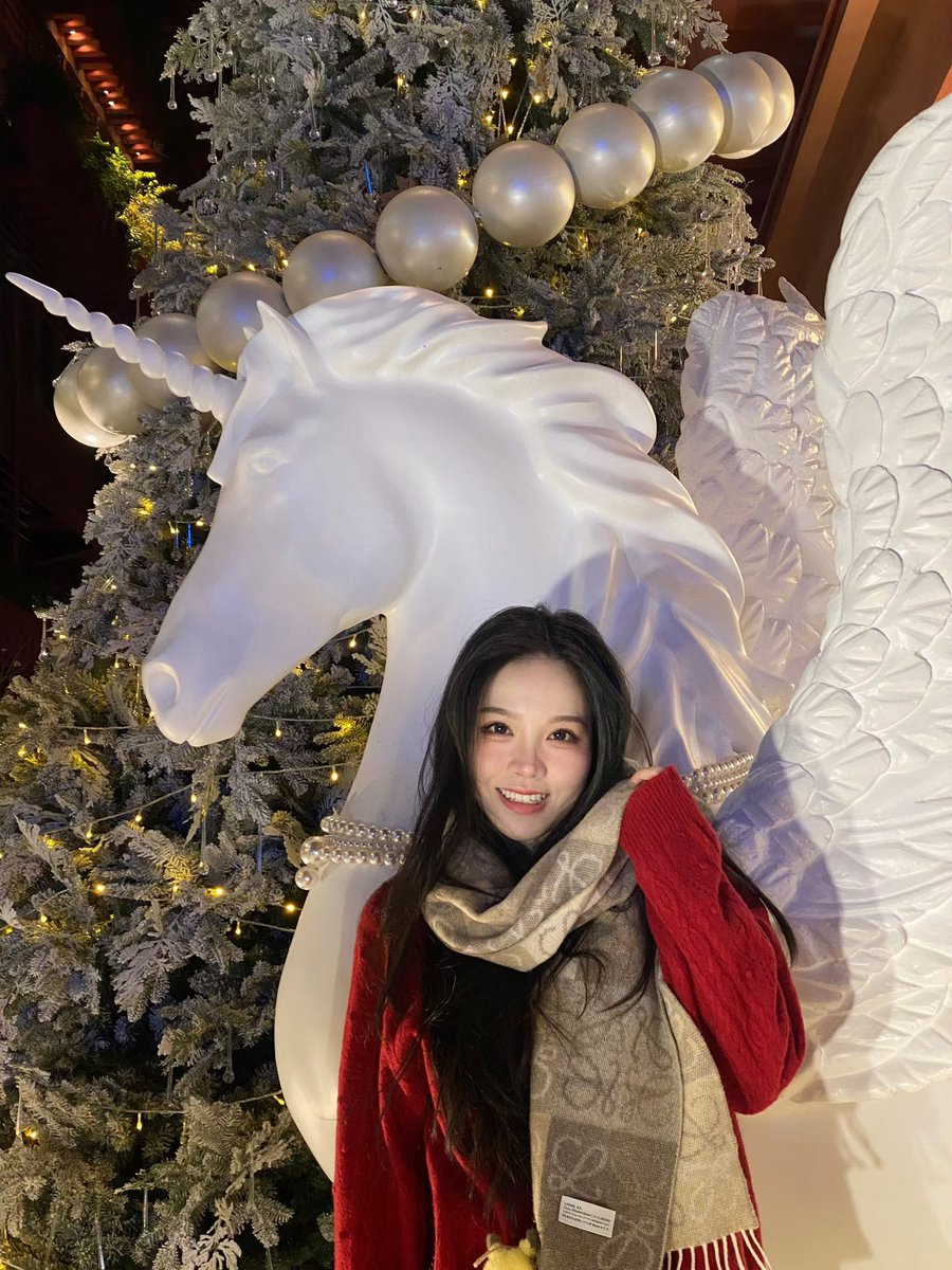 JeanFengff's tweet photo. 圣诞快乐🧑‍🎄 https://t.co/UJoYrV9MOR