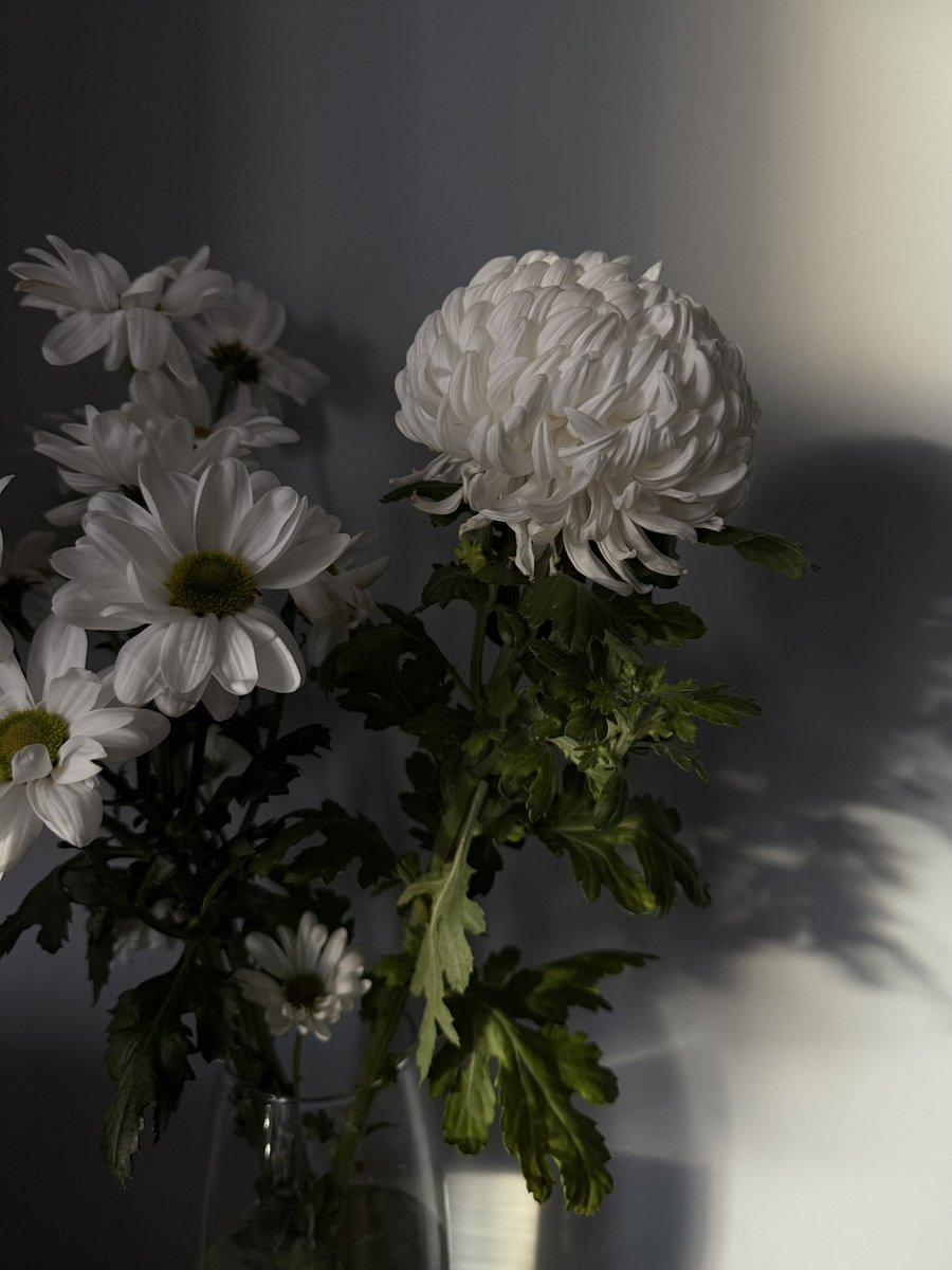 Все еще красиво