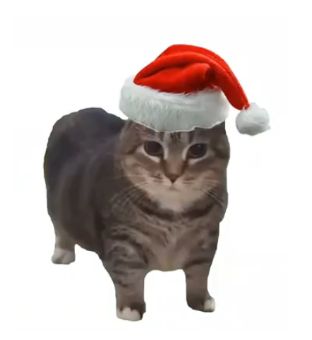 Feliz navidad 🎄🎄🎄 gente bonitaaa y que la pasen bien en estas fiestas, los tkm 🫶🫶🫶