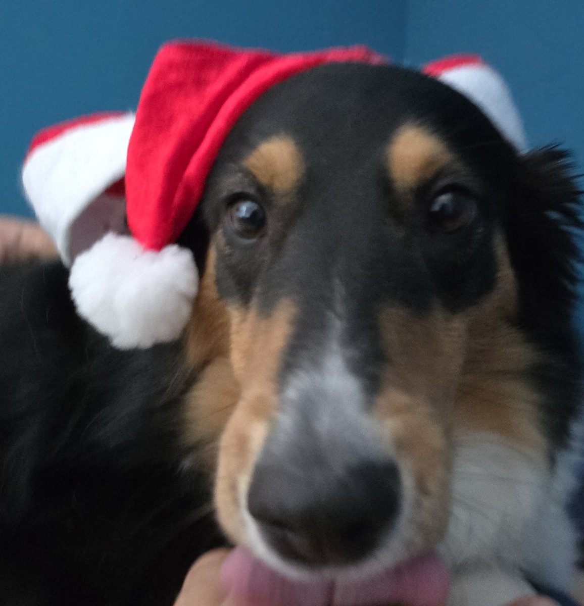 Feliz navidad, apestosos humanos