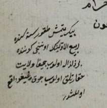 seher erdem örs🇵🇸🔻 tweet media