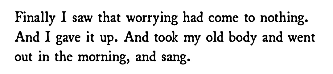 —Mary Oliver, from “I worried”