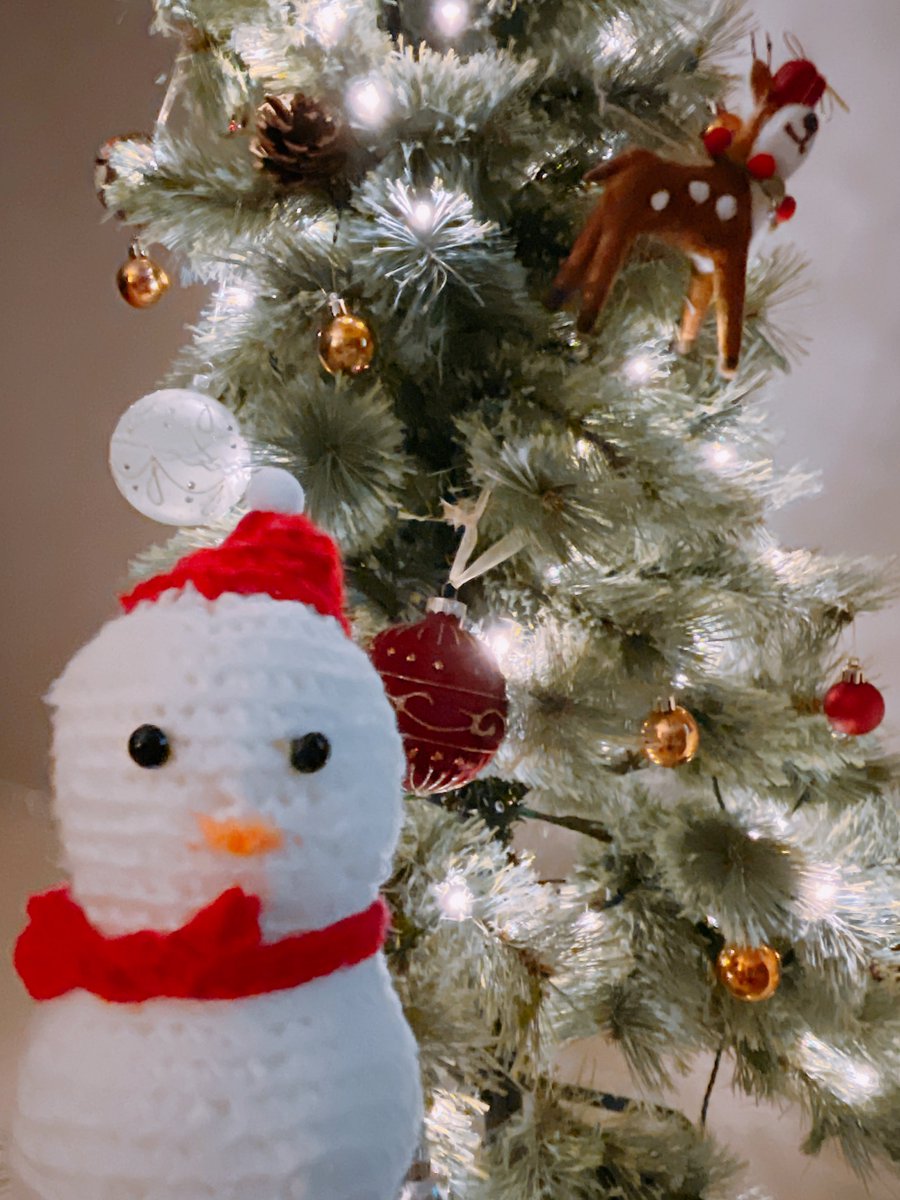 violette_lune's tweet photo. 図と英語の説明しかほぼなくて絶望してたけどギリ間に合ったっぽい⛄️🎄 https://t.co/D0Yd1XGxvJ