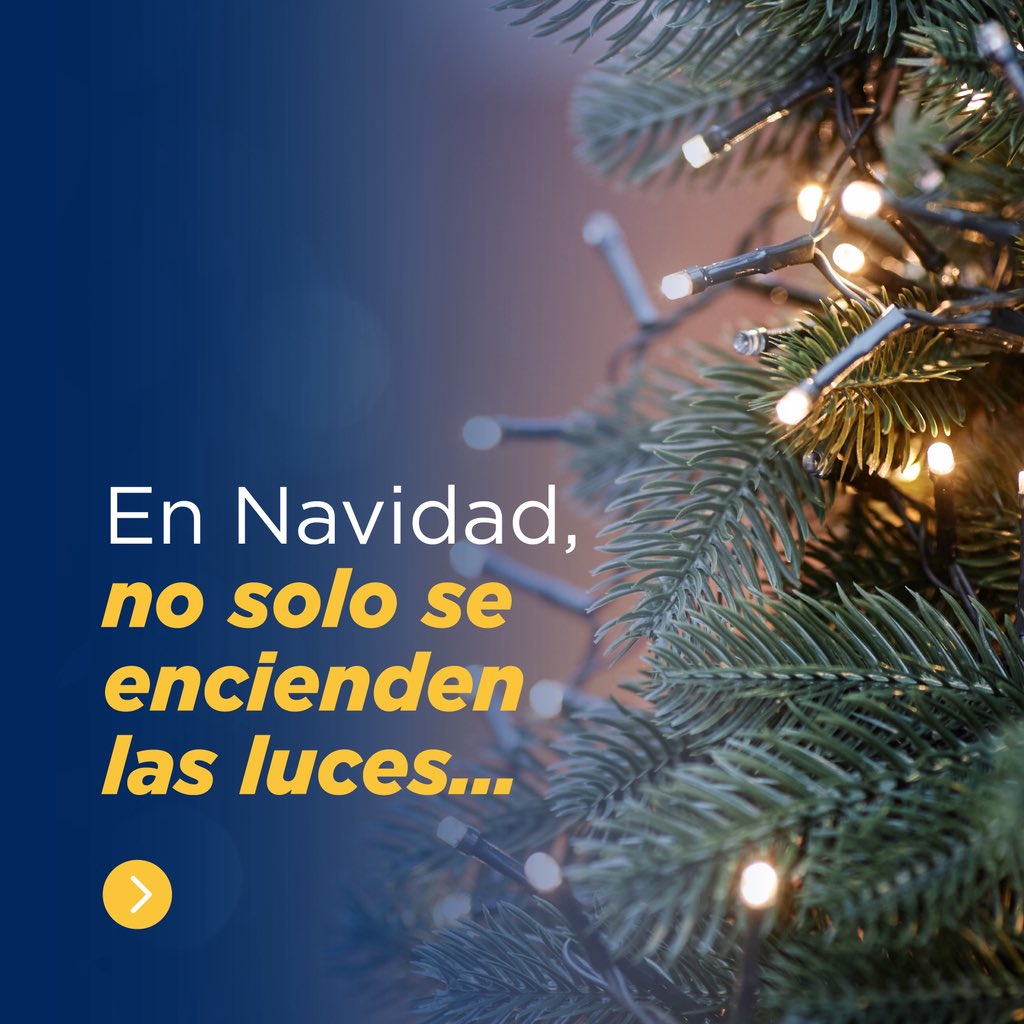 egepcrd's tweet image. Que esta época nos recuerde lo verdaderamente importante: mantener viva la energía que nos une como familia y como comunidad.

Desde EGEPC, les deseamos una Navidad llena de luz, unión y esperanza. ¡Felices Fiestas!🎄💛

#EGEPC #PuntaCatalina #Navidad