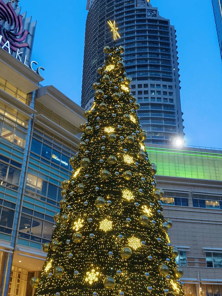 美瑞库里斯玛素
#MerryChristmas2025 #圣诞节快乐