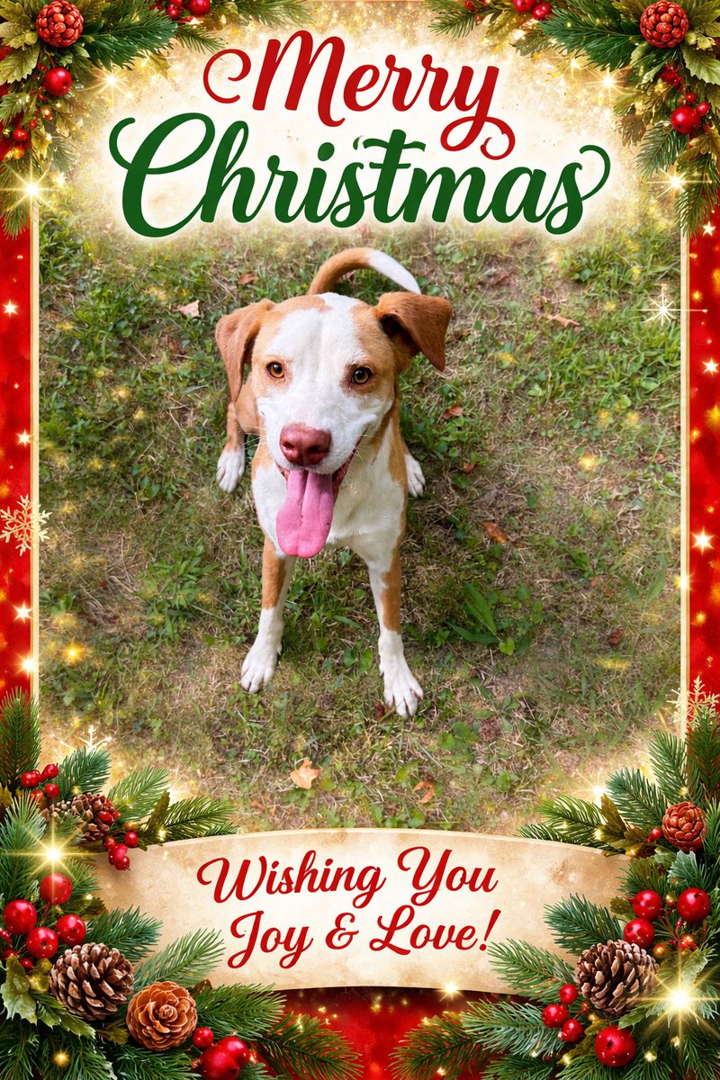 Have Your Self’s A Merry Merry &amp; Safe  Christmas.