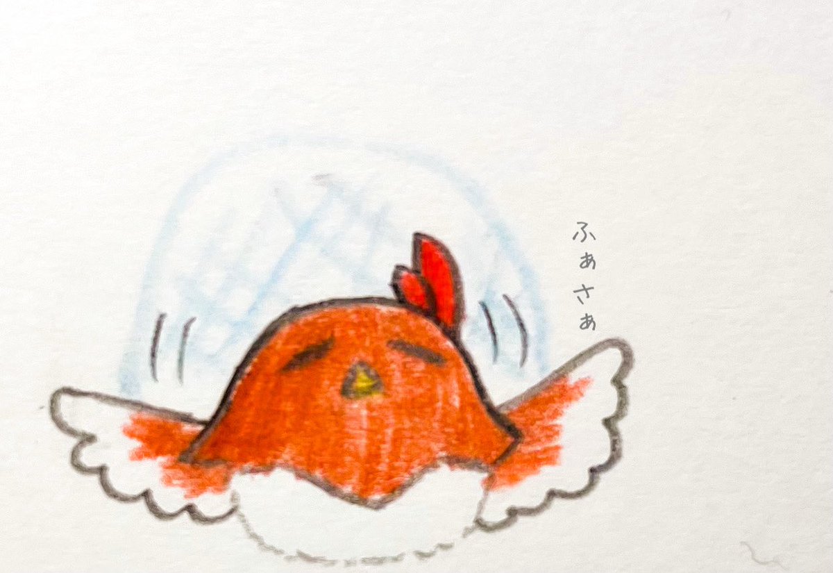 シロちゃんとそらちゃんのクリスマス鬼ごっこ2025年
「そういえば」

#SiroArt
#soraArt 