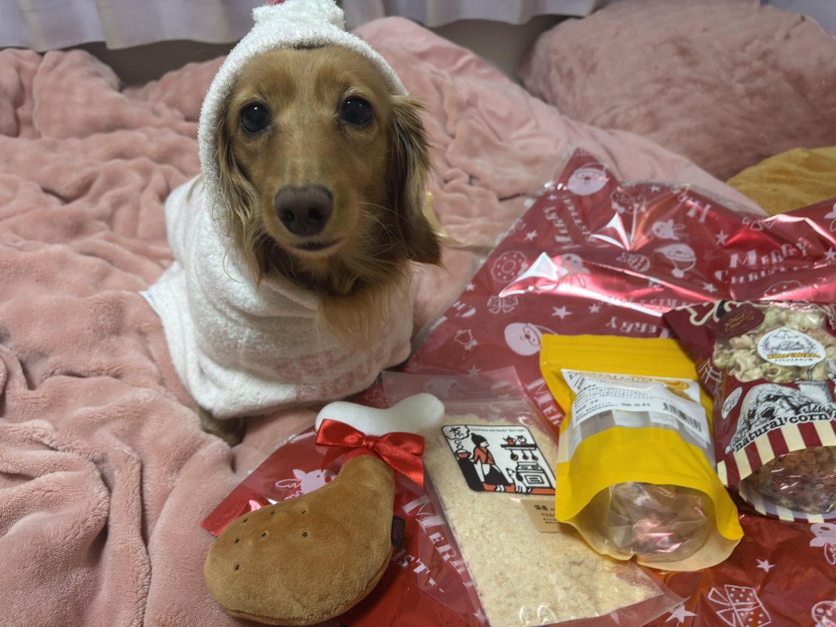 えるちん tweet media