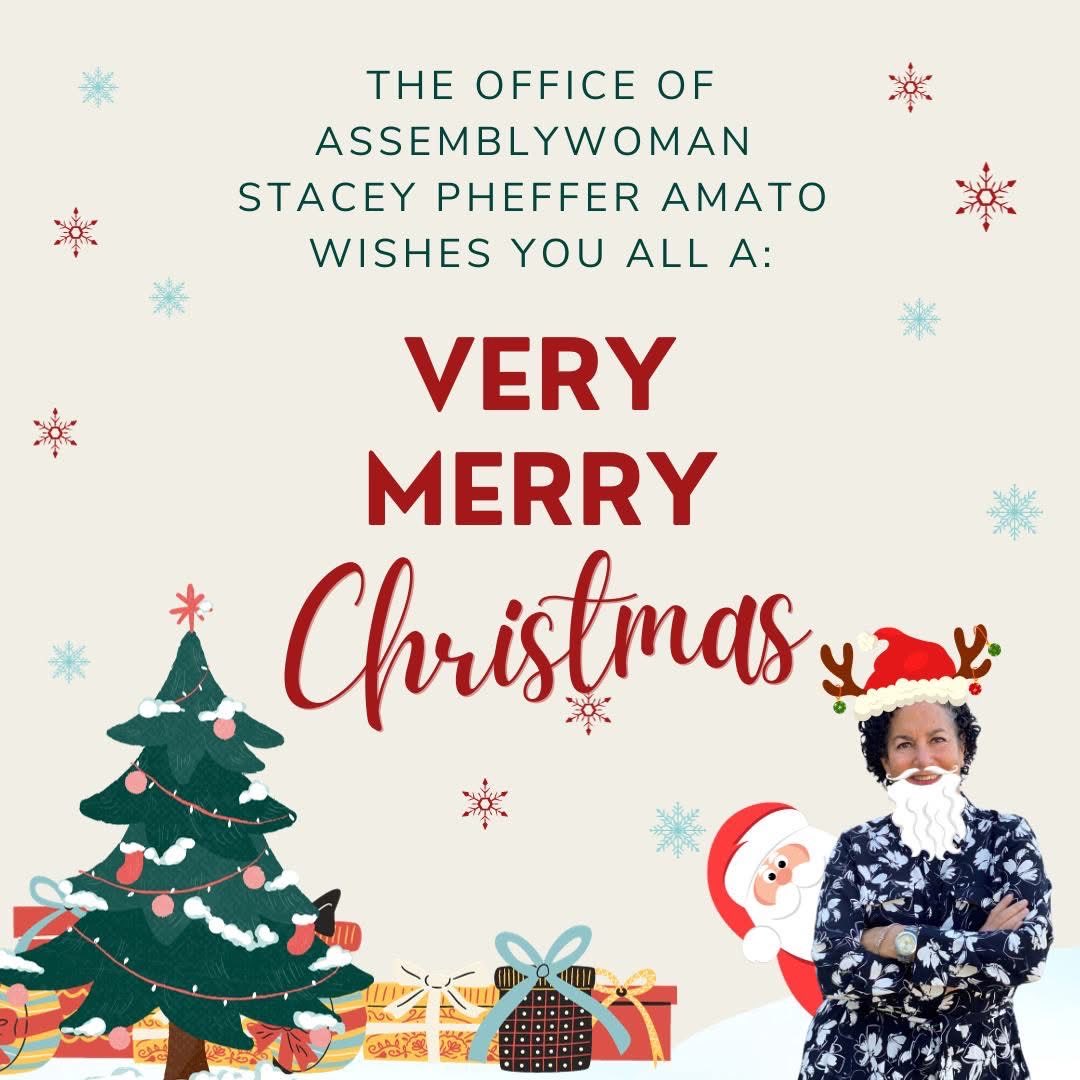 Stacey Pheffer Amato tweet media