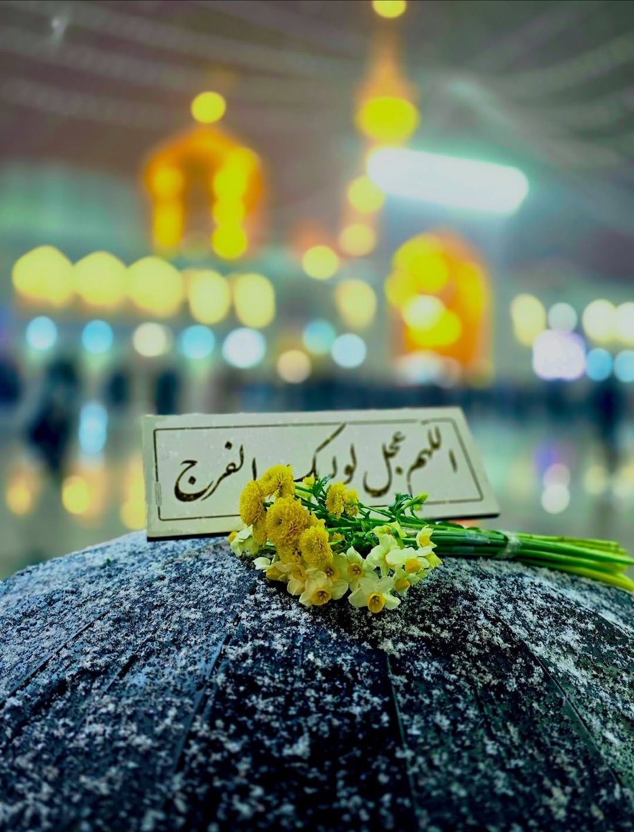 حرم رضوی tweet media