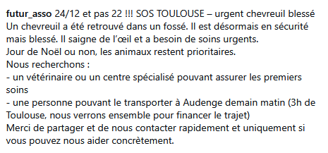ChasseAbolition's tweet photo. #Toulouse #Audenge #urgence
https://t.co/OJ1PW3IJpx https://t.co/BMF8KtUoHR