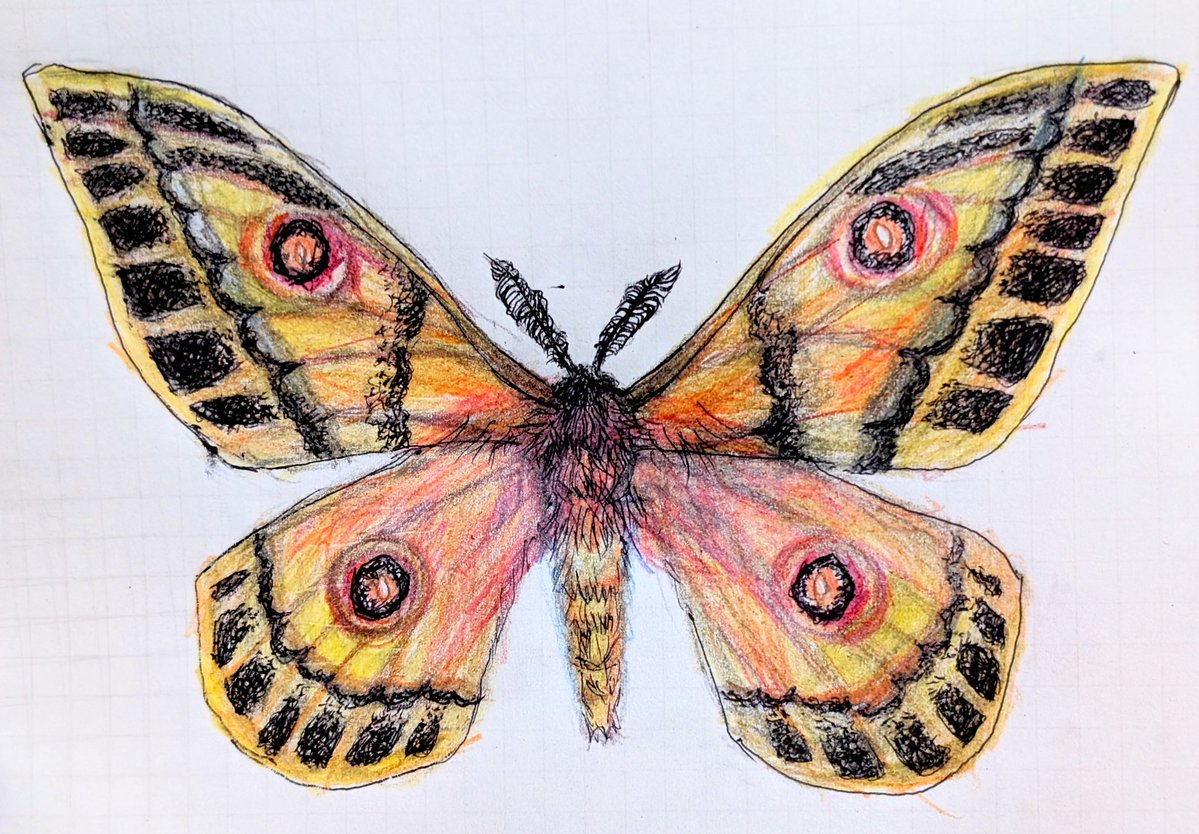 M0 (@mom0mom0mom0m00) / Posts / X